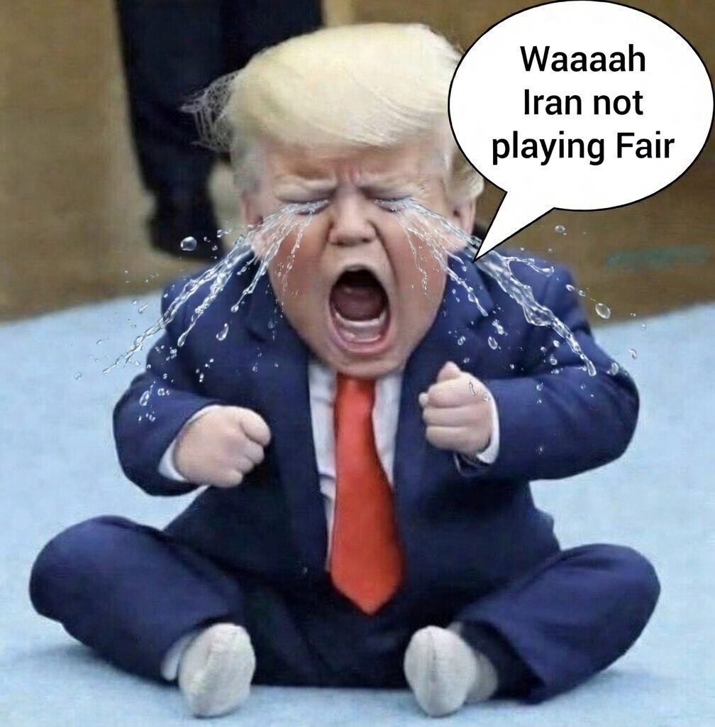 Freepali tweet media