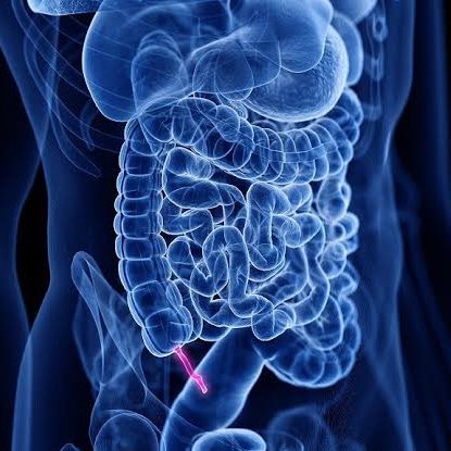 Enséñame de Ciencia tweet media