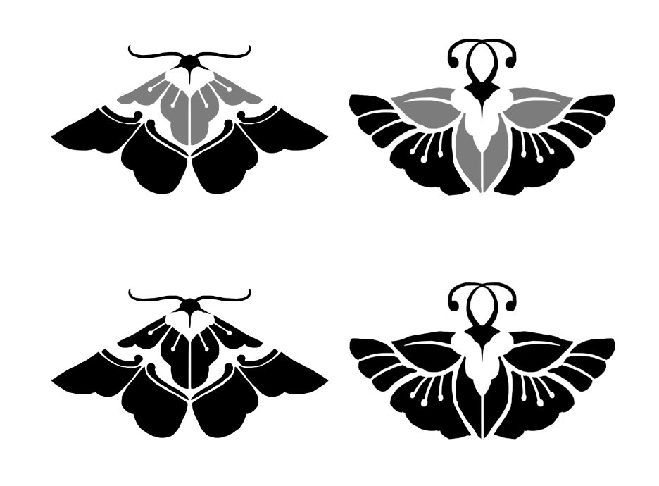 キャリコ/ミドリノ tweet media