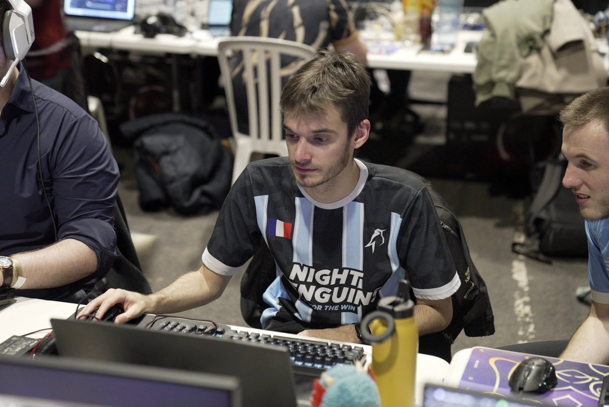 Night Penguins tweet media