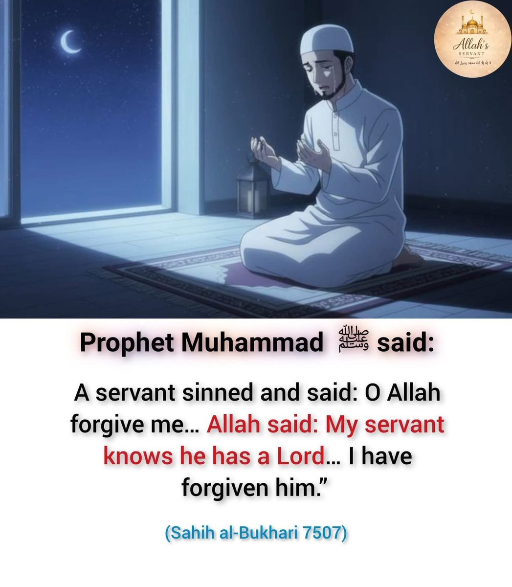 STRIVING MUSLIM tweet media