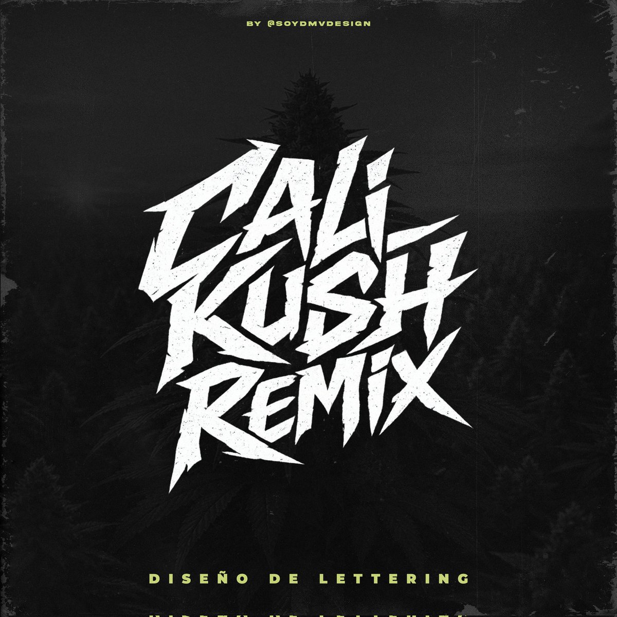 𝗗 𝗠 𝗩 tweet media