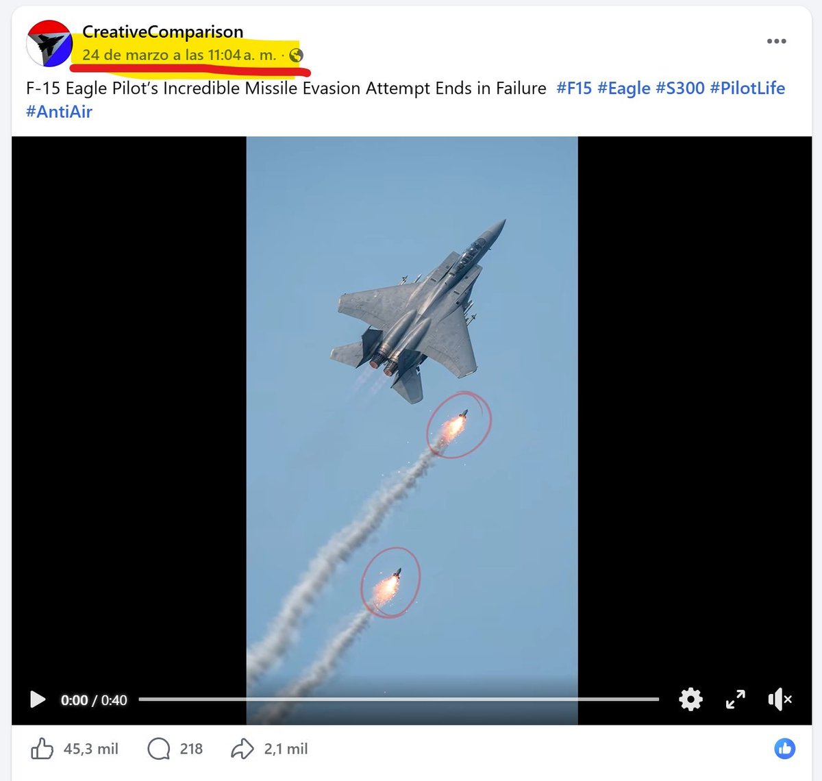 Border Collie (בורדר קולי) tweet media