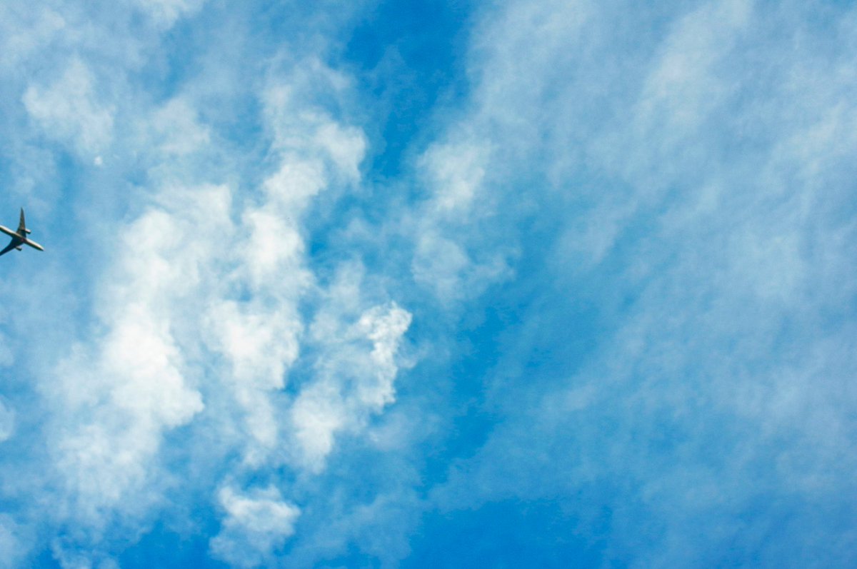 オオムロ tweet media