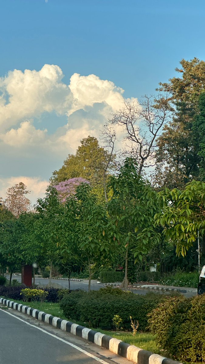 🧃Aästha. tweet media