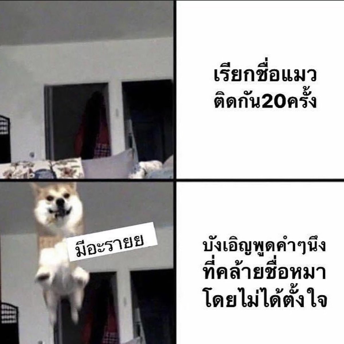 sad boy . tweet media