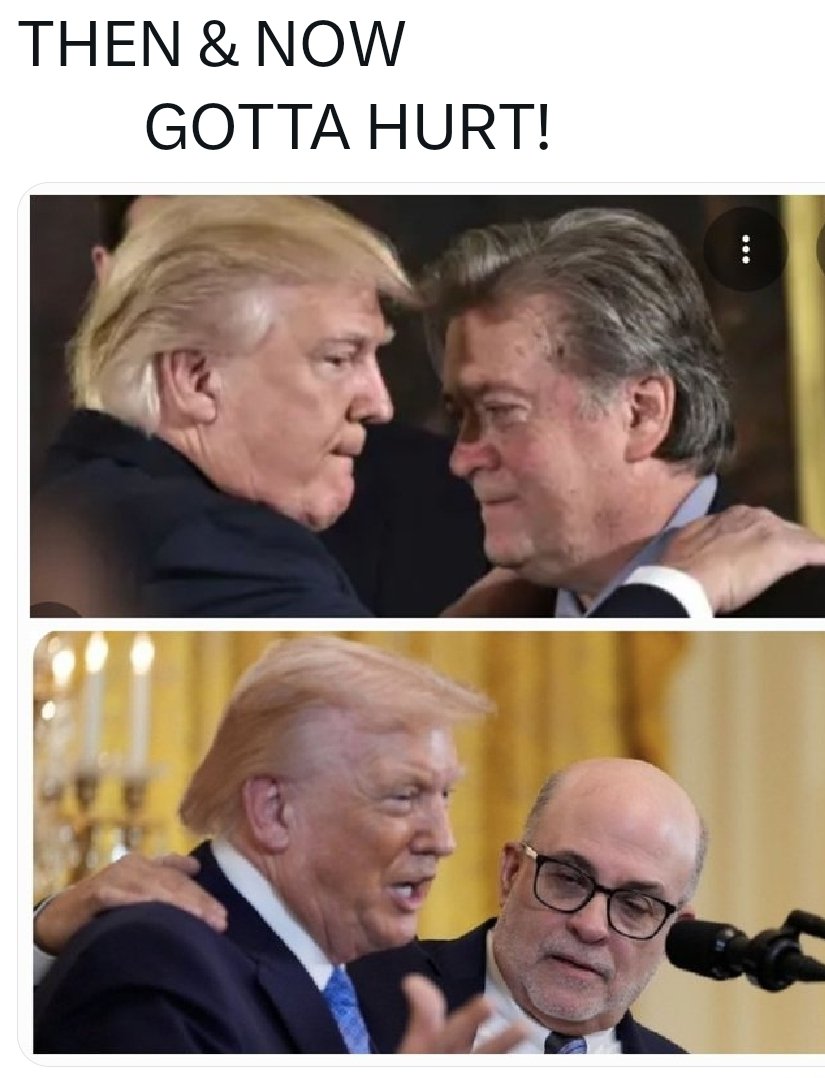 Curious-1 tweet media