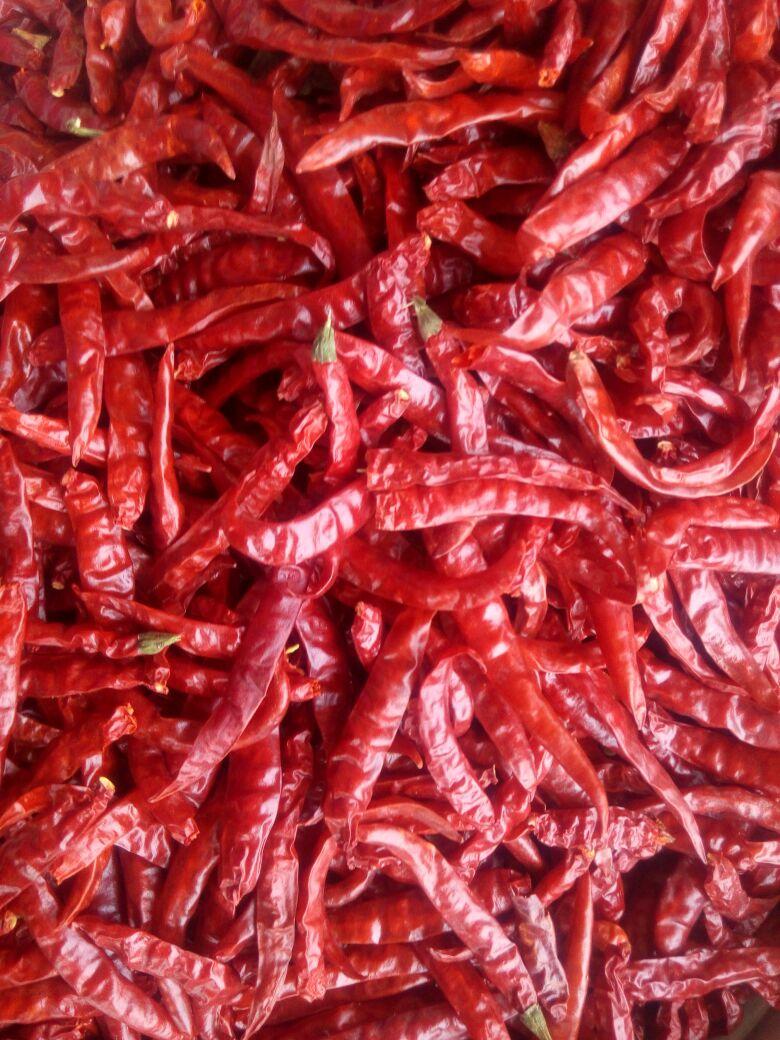MARTENdaRAT's tweet photo. https://t.co/WS6Wbhdy9A
#trade4go #dryredchillies #Carvajal #trader #banana https://t.co/14OZgaHMJR