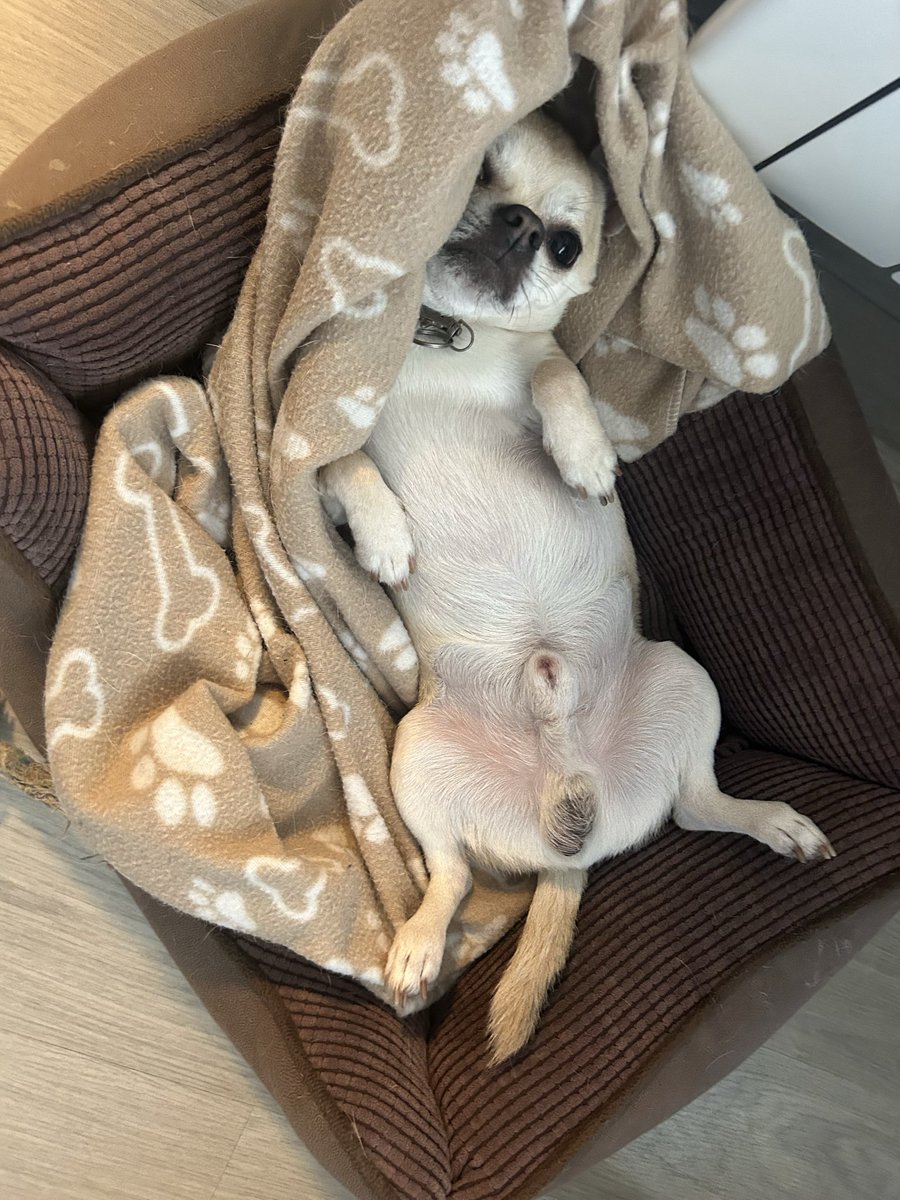 Òscar Ureña Serrano tweet media