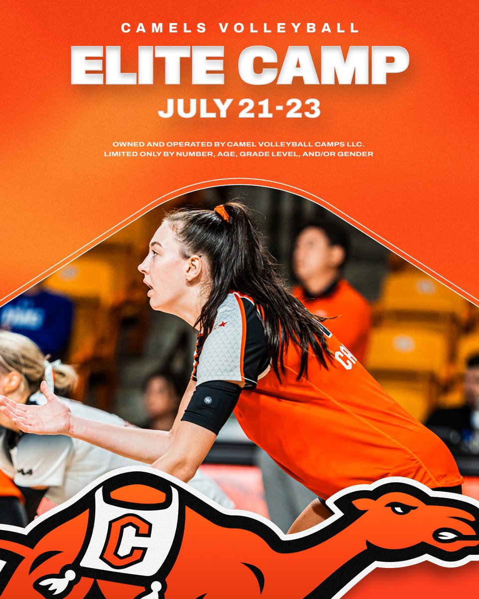 Campbell Volleyball tweet media