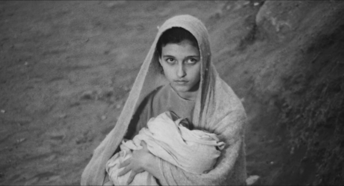 michela 𖦹 tweet media