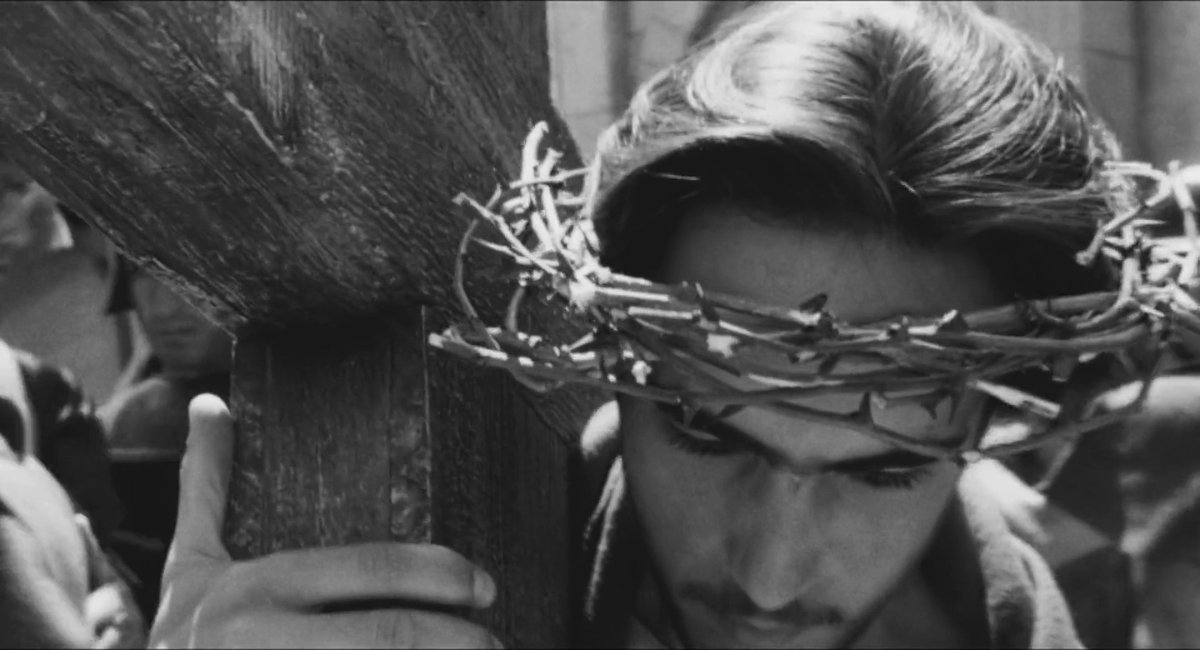 michela 𖦹 tweet media