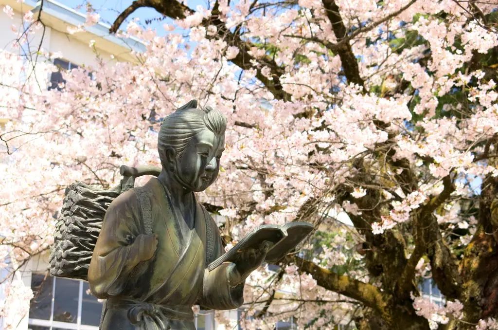 dyreschlock's tweet photo. More photos of Cherry Blossom trees from around Takayama. These are from years ago, but they should begin blooming this year in the next week.

More photos and post:
https://t.co/Klw5oD6gGU 

#Photo #Photography #Japan #Travel #Sakura https://t.co/TkHM2fiWan
