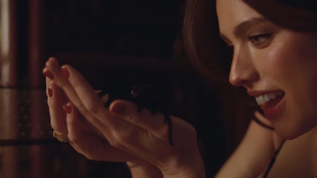 felicity tweet media