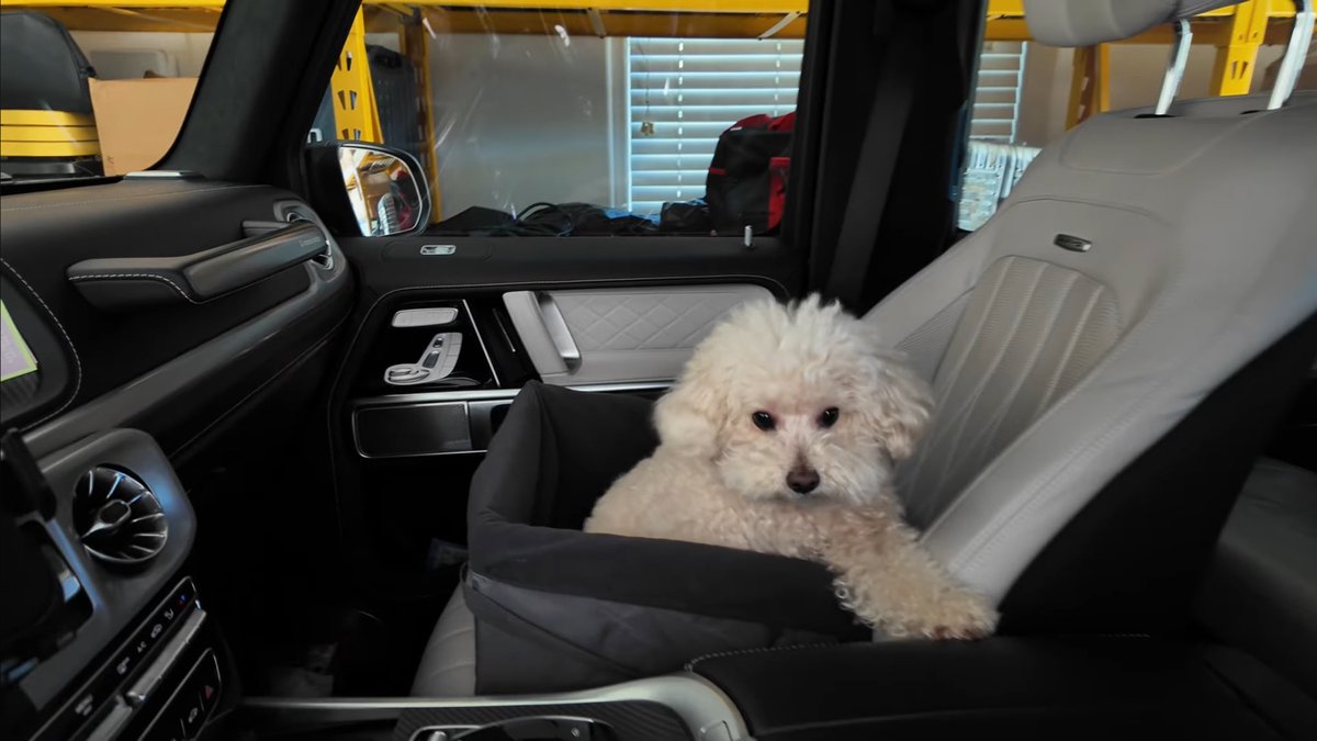 yieྀིn tweet media