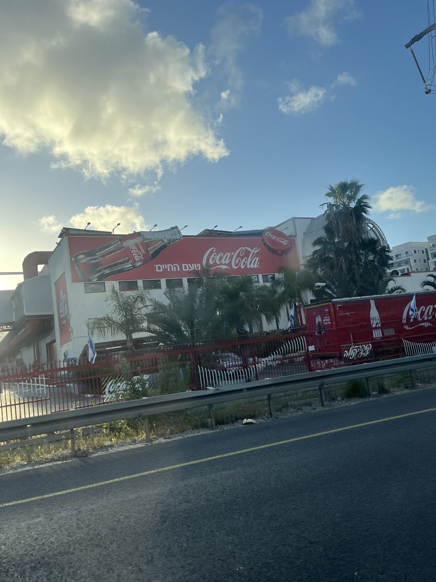 Shelley Blond tweet media