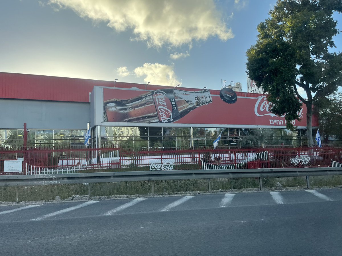 Shelley Blond tweet media