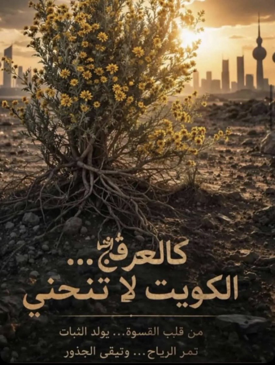 شيخه الصفران tweet media