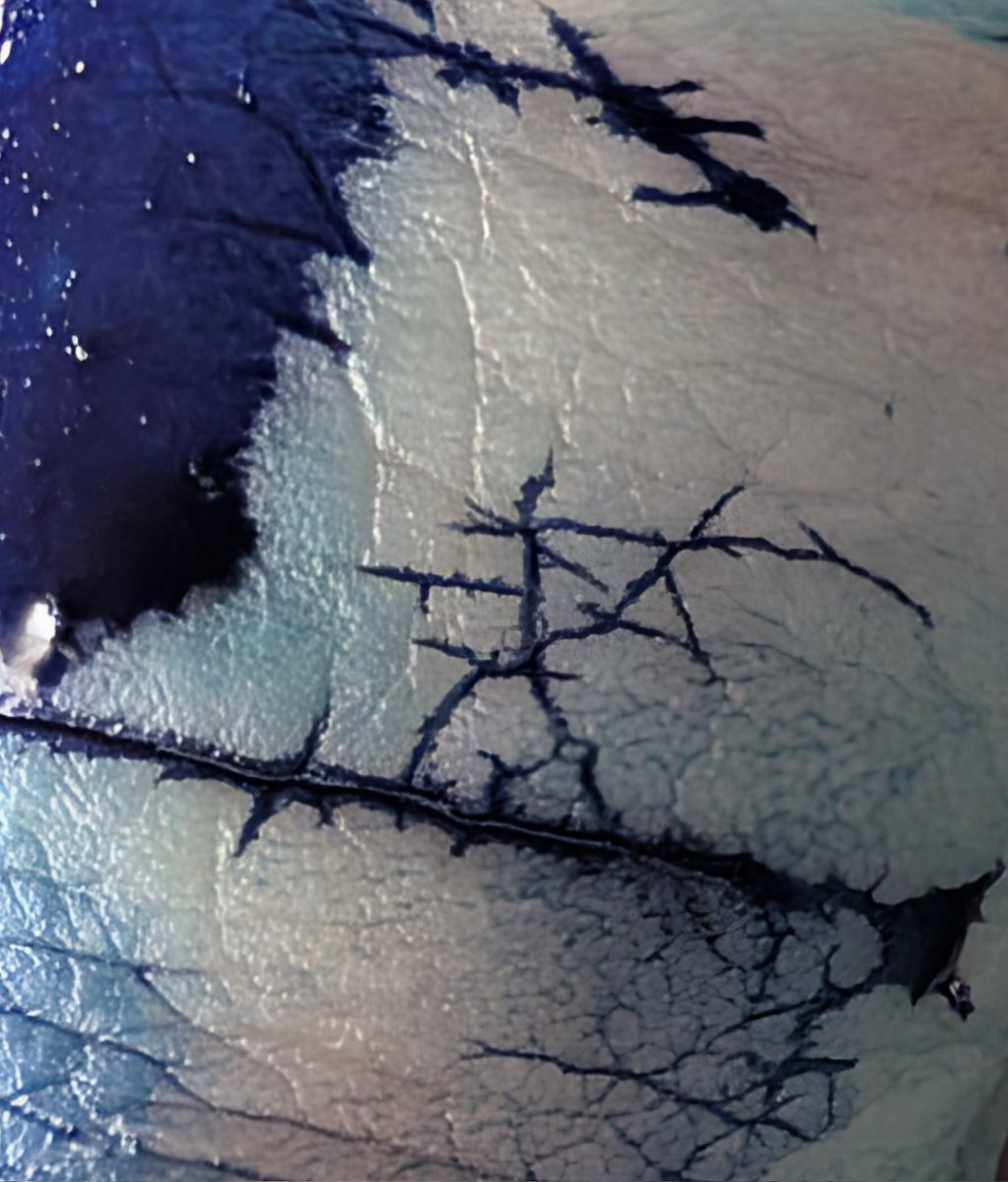 casey armstrong tweet media