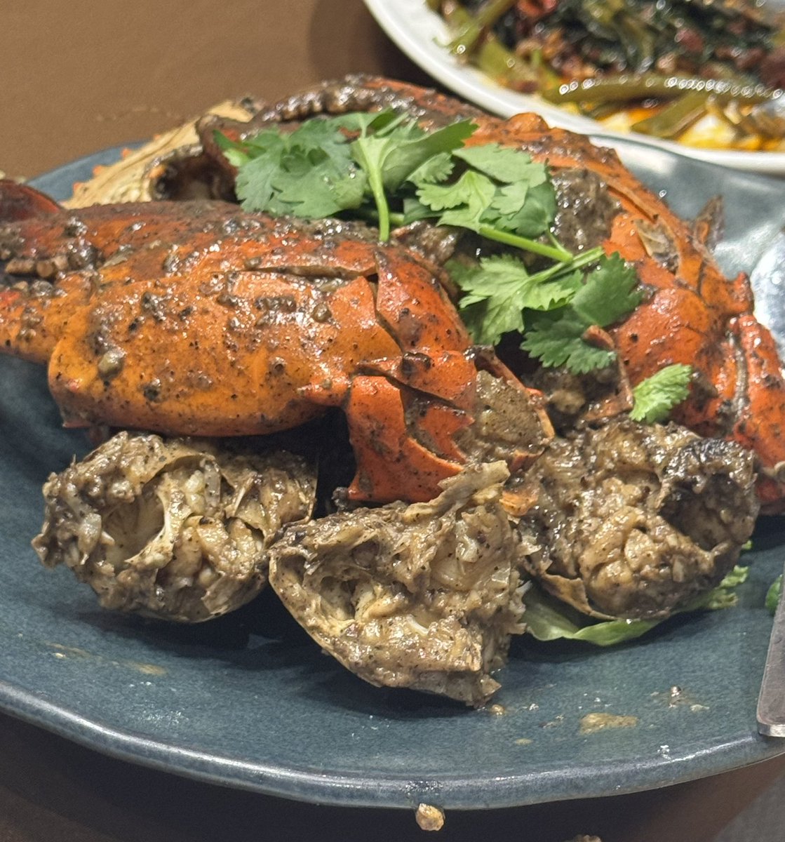 개둥이 tweet media