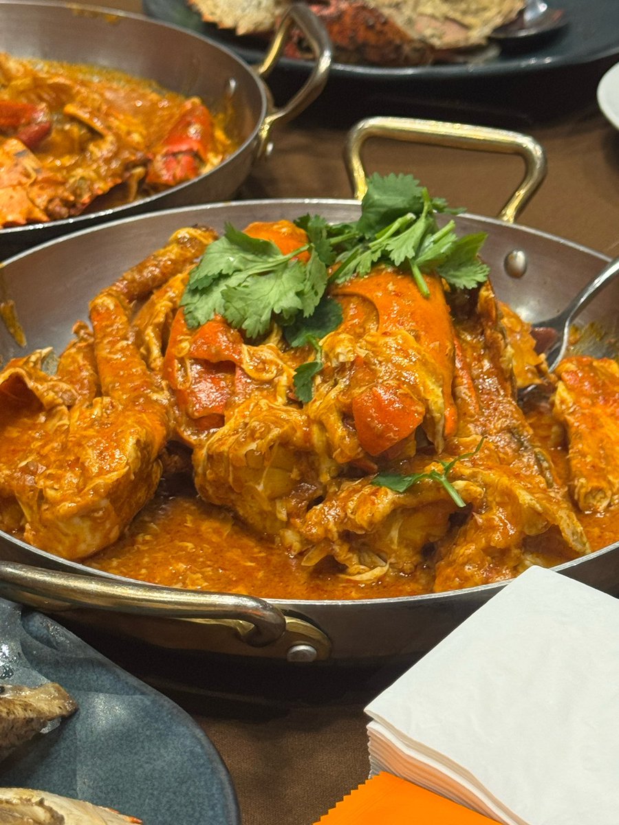 개둥이 tweet media