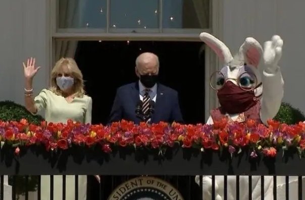 Vince Langman tweet media