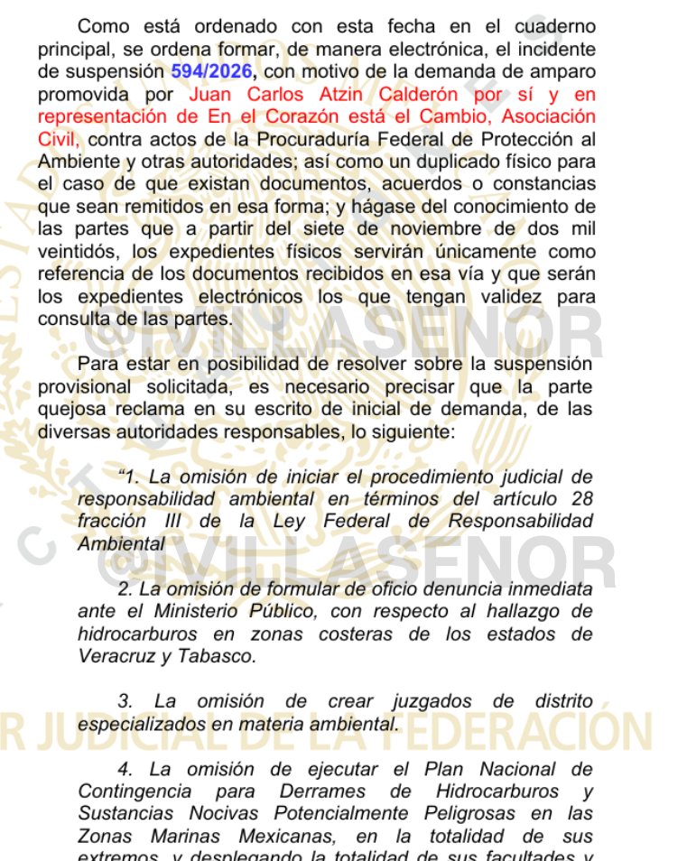 Ignacio Gómez Villaseñor tweet media