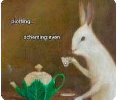 Miss Bunny 🐇bunny Moon goddess 🌕 Vtuber tweet media