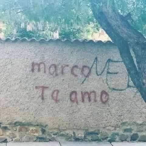 Sara💛🌻 tweet media