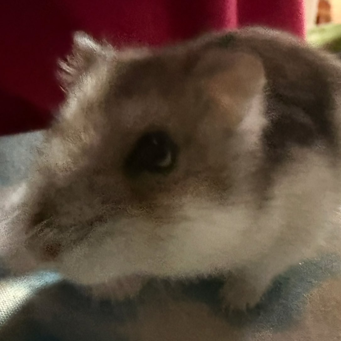 ❤︎⁠ tweet media