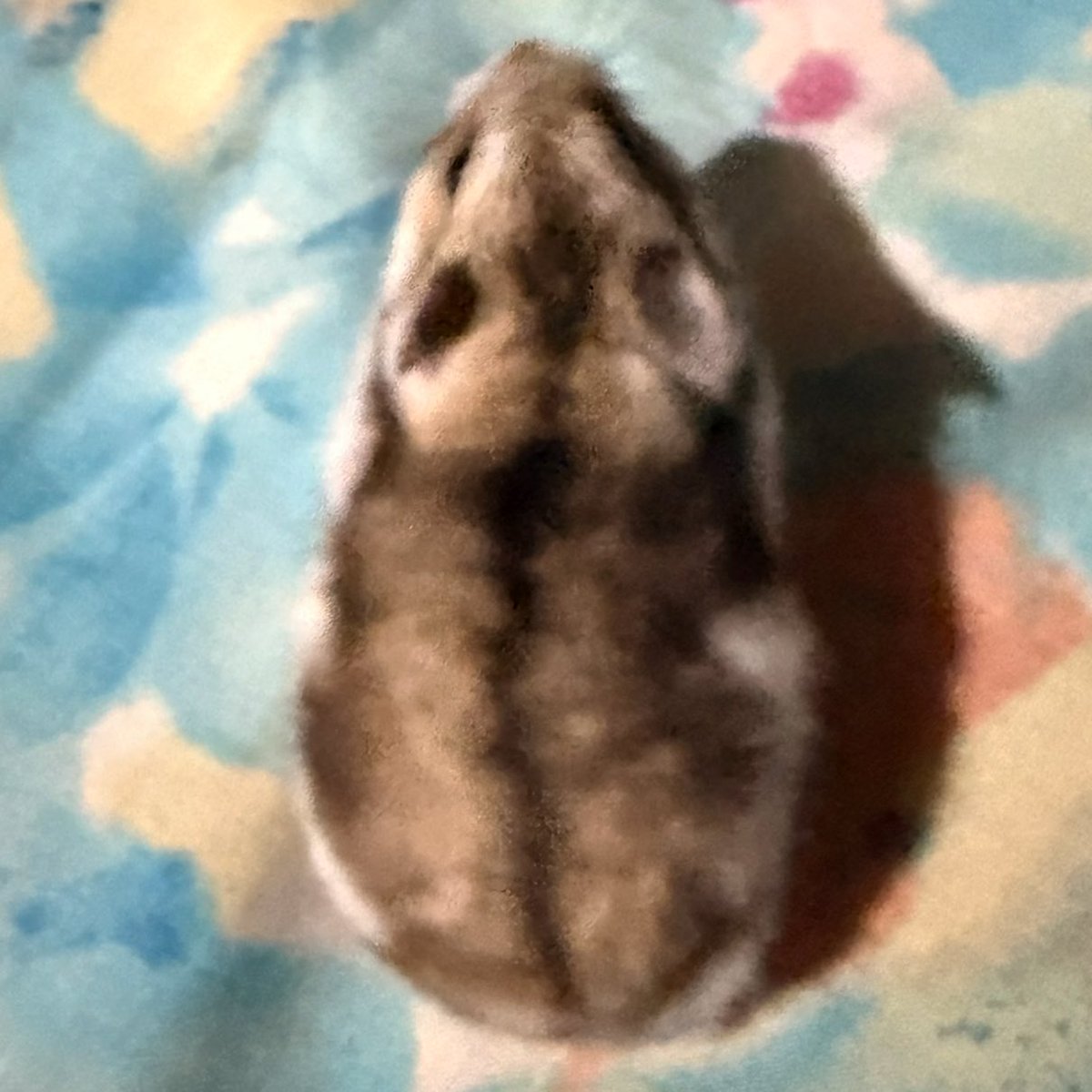 ❤︎⁠ tweet media