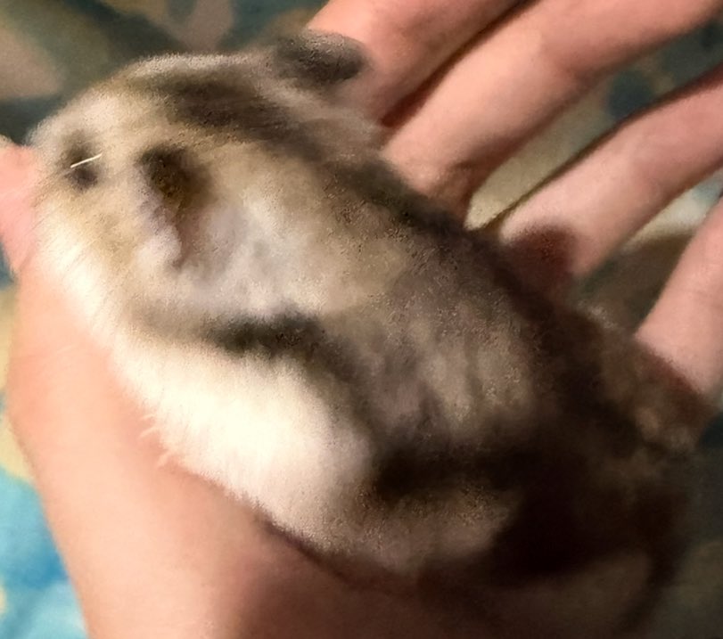 ❤︎⁠ tweet media