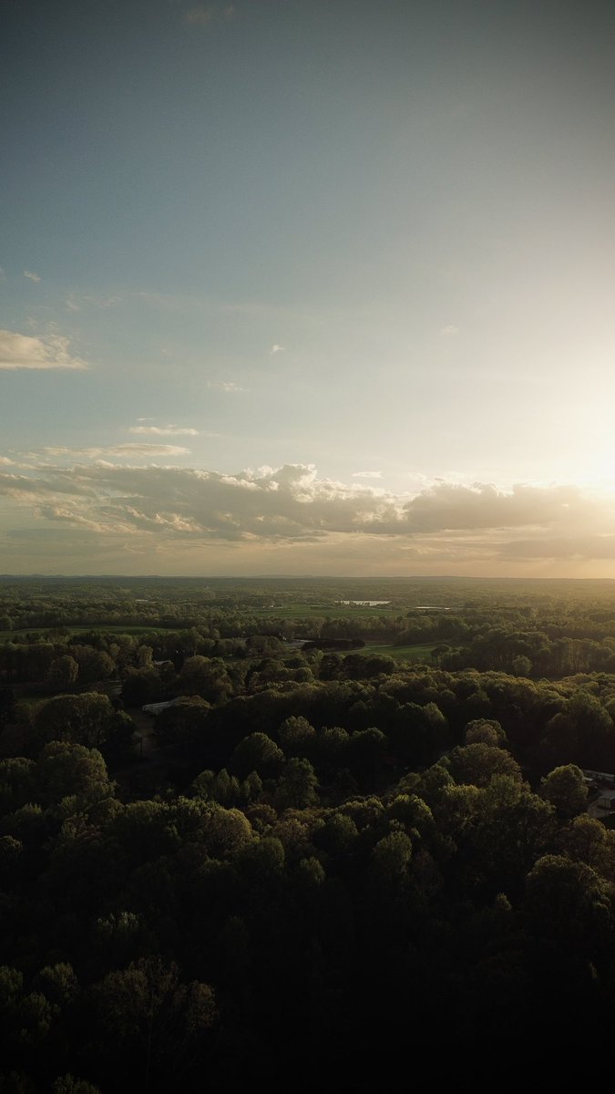 cjechaoss's tweet photo. took these a couple days ago, someone said “looks straight out of netflix” 

these trees have bloomed so much in 2 weeks 

(new drone can actually take true vertical photos and it’s great) 

@TimBuckleyWX @weatherinNC https://t.co/mwW9w1njV1