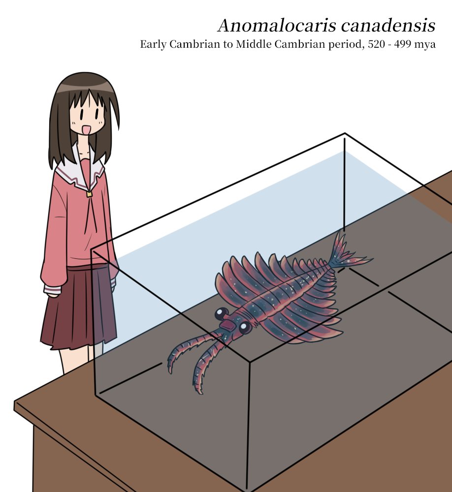 FarhanMelukis 🇵🇸 tweet media