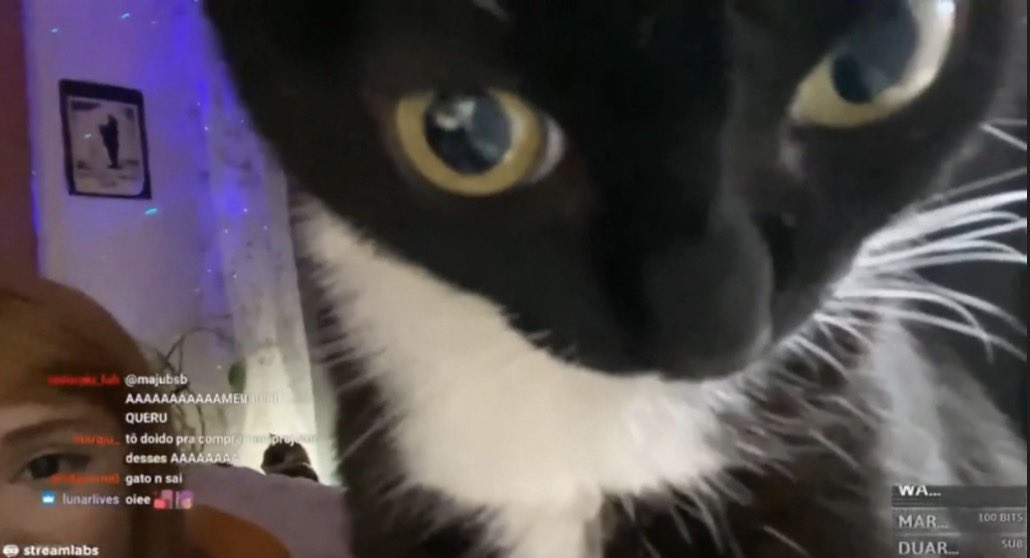 ing dinleme sınavında jesica nın doğum günü partisinde arkadaşına ne hediye alacağını duymaya çalışırken bizim silgiye kitleniş