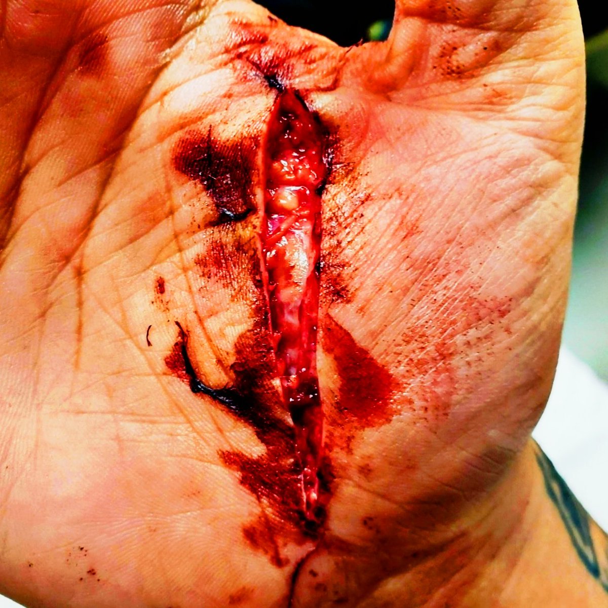 Atticus Cogar tweet media