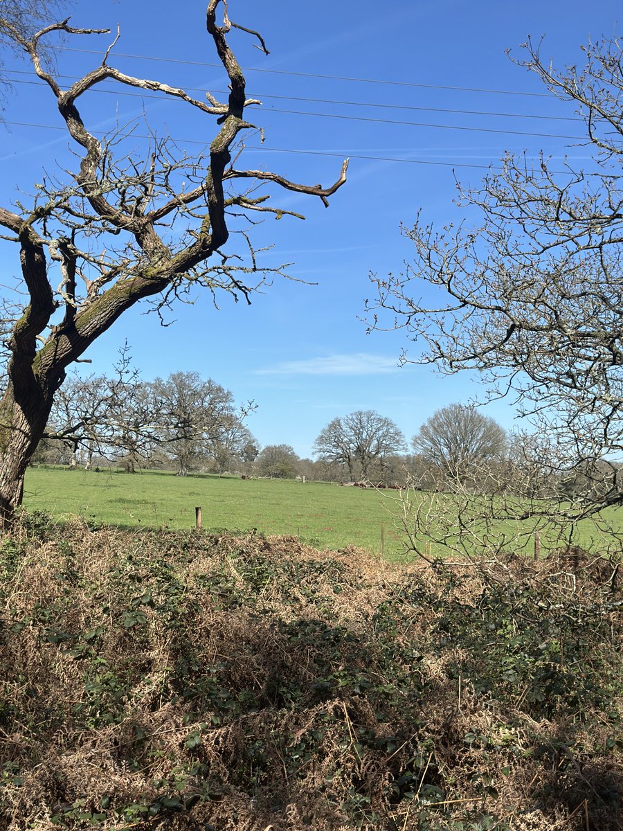 The Thirsty Duke tweet media