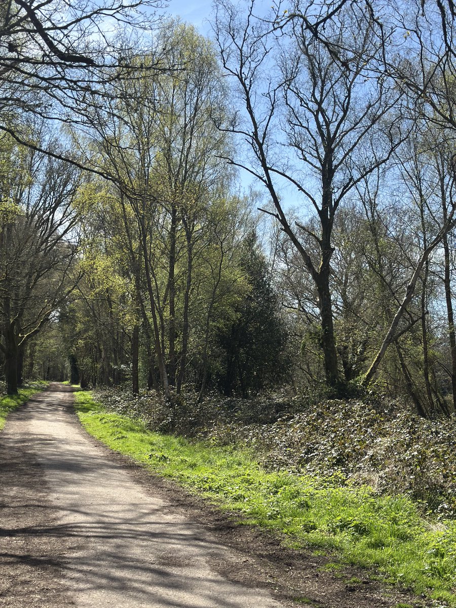 The Thirsty Duke tweet media