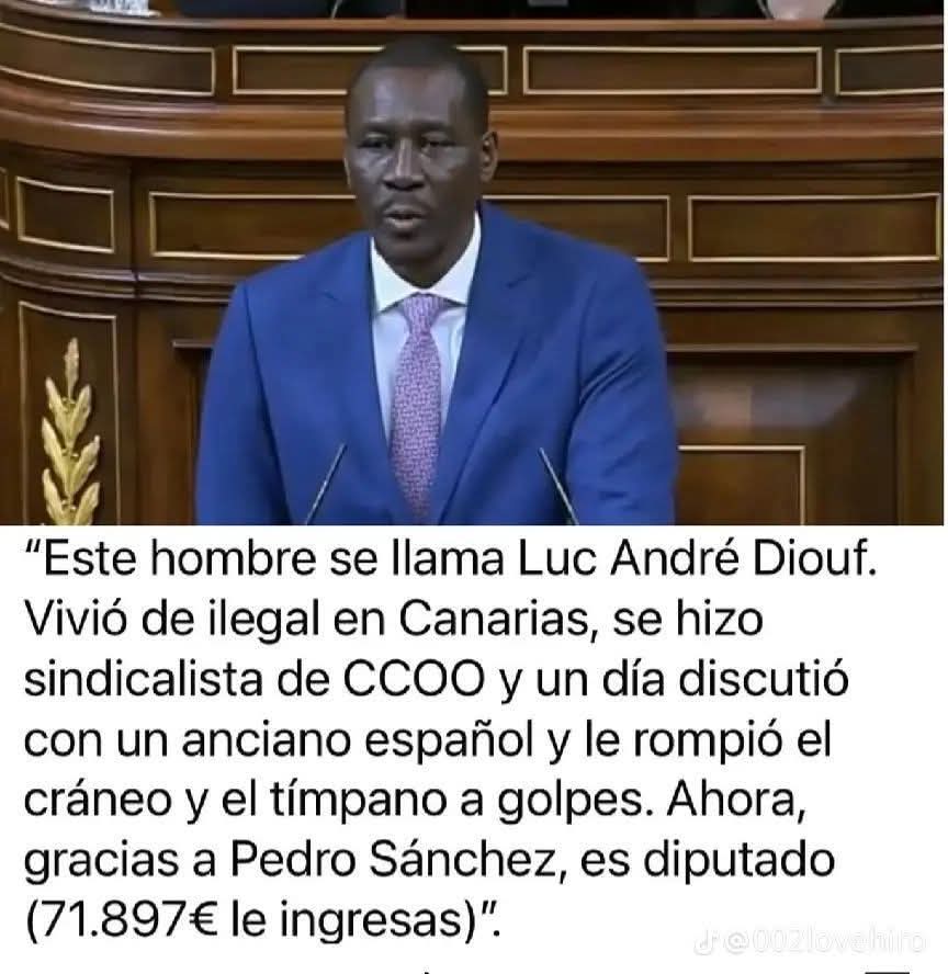 elfilosofoloco tweet media