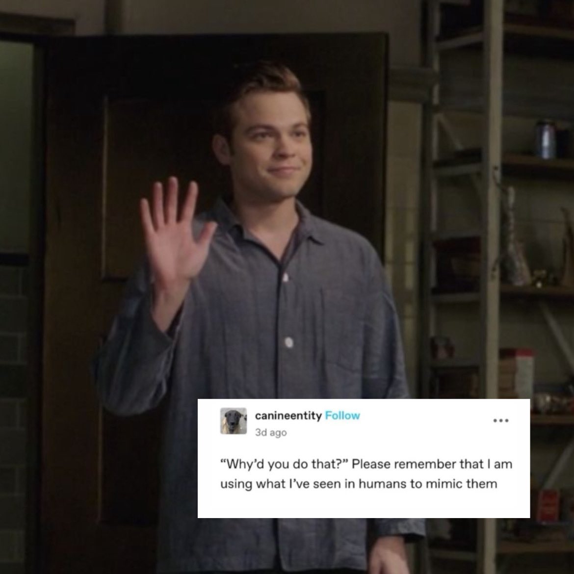 jesse🐾 tweet media