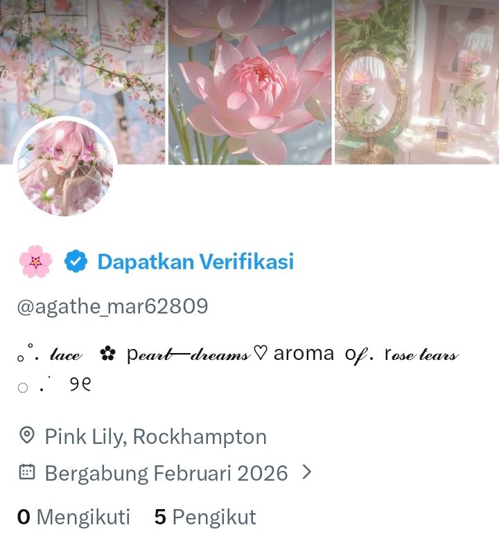 Elliora ✿˳ tweet media