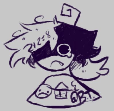 zip 🏴‍☠️🐉 tweet media