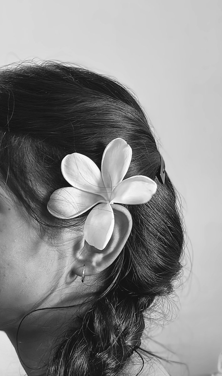 Shyamli🐾 tweet media