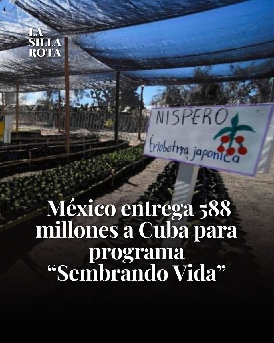 Un tal Mario tweet media