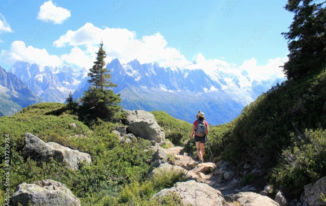 Travelsandphoto's tweet image. Randonnée sympa à Chamonix. 
Photographie numérique à retrouver ici :

stock.adobe.com/fr/images/cham…

#chamonix #randonnée #alps #hiking #mountains