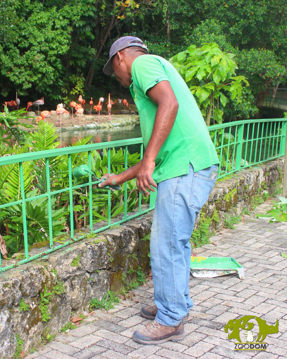 Parque Zoológico Nacional tweet media