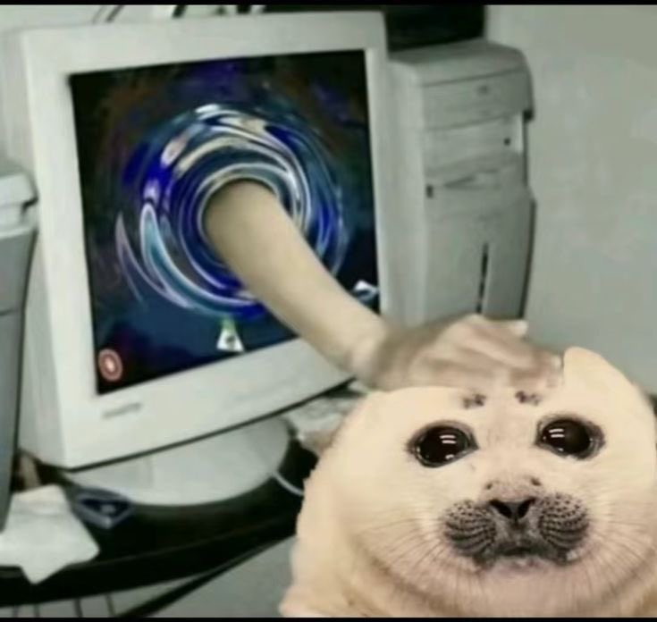 두바이마이클옴쫀득잭슨 tweet media