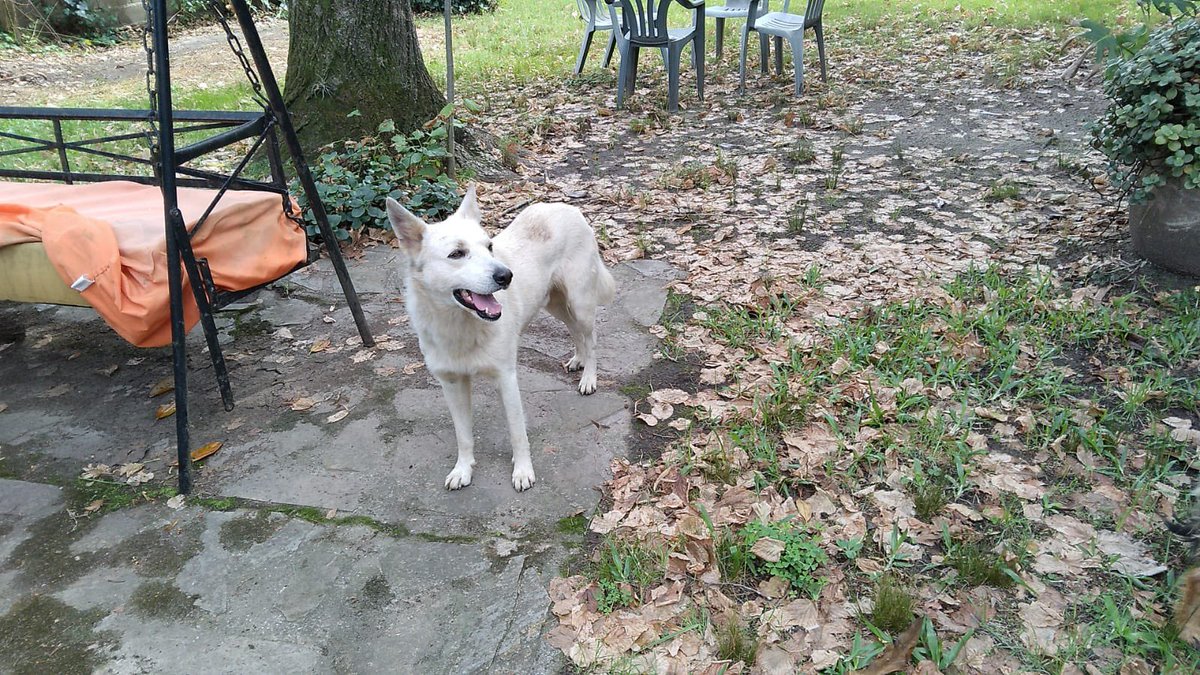 redbicheraoficialuruguay tweet media