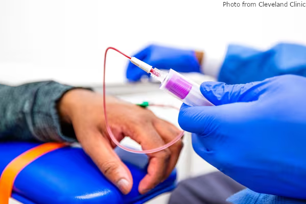 Lexi Ventures tweet media