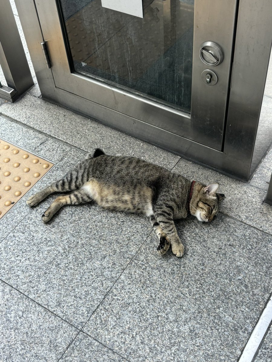 𓈒 ˖ ࣪ 𝜗𝜚 ׅ ۫ tweet media